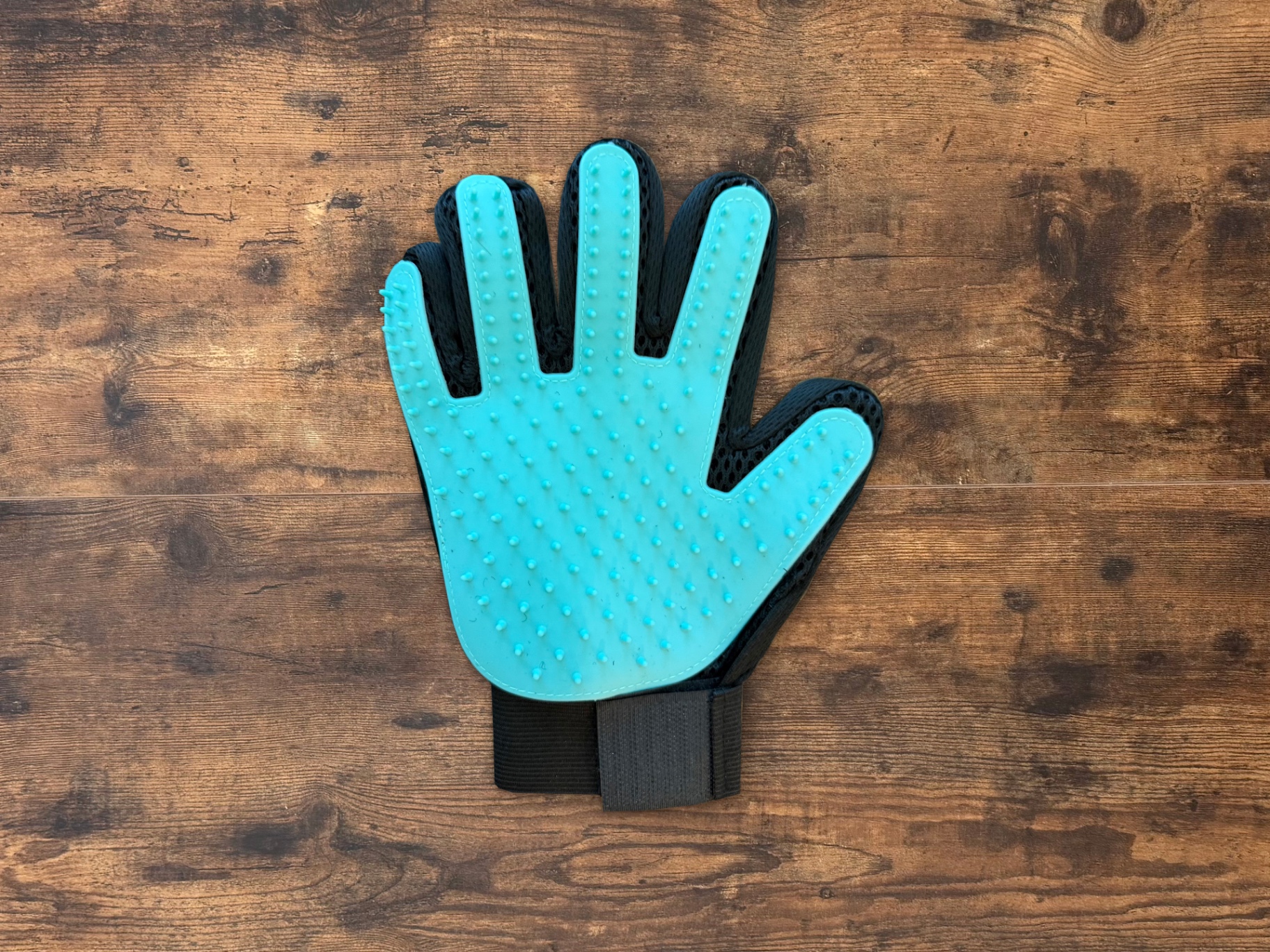 Pet Mitt