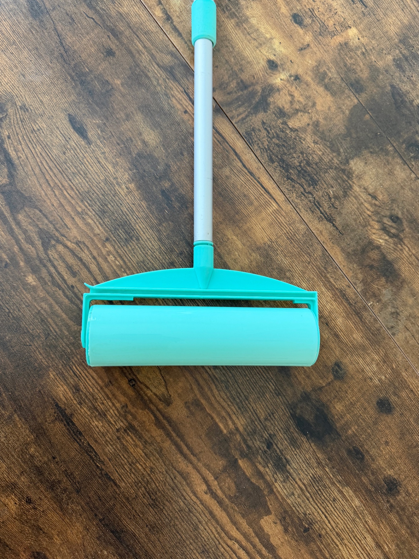 House & Floor Roller
